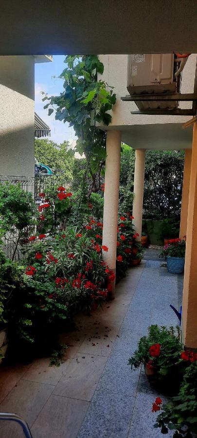 Vila Doris Baška Voda Quarto foto